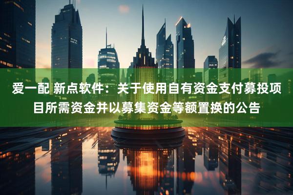 爱一配 新点软件：关于使用自有资金支付募投项目所需资金并以募集资金等额置换的公告