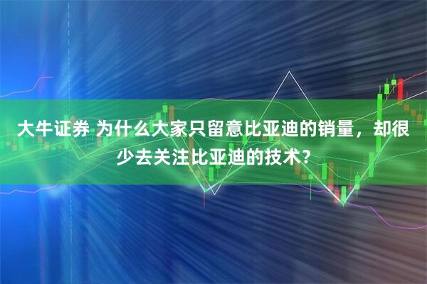 大牛证券 为什么大家只留意比亚迪的销量，却很少去关注比亚迪的技术？