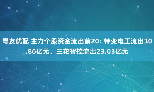 粤友优配 主力个股资金流出前20: 特变电工流出30.86亿元、三花智控流出23.03亿元