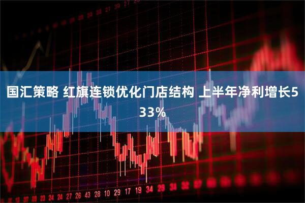 国汇策略 红旗连锁优化门店结构 上半年净利增长533%